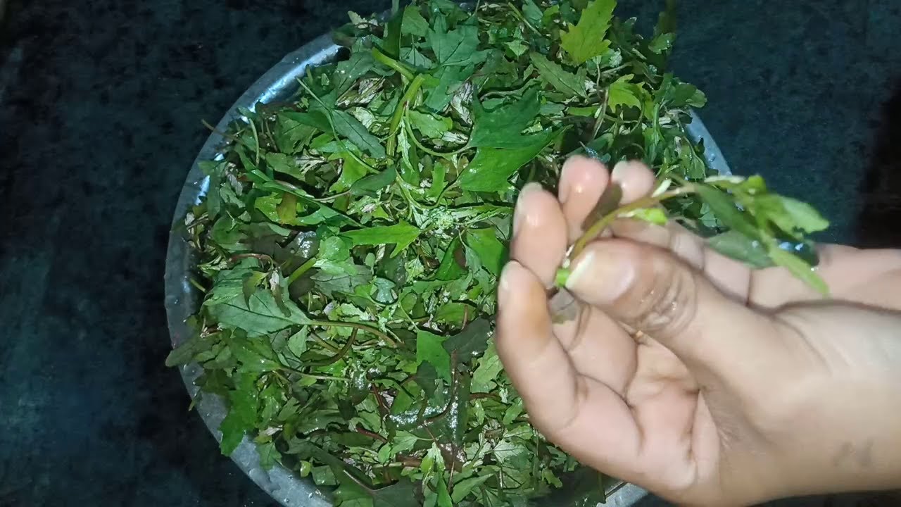 बथुए साग को कभी इस तरह बना कर तो देखे। बथुआ साग चावल वाली थाली | Bathua Saag Recipe in Hindi