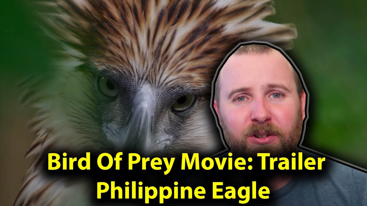 Bird Of Prey Movie: Philippine Eagle Trailer REACTION.
