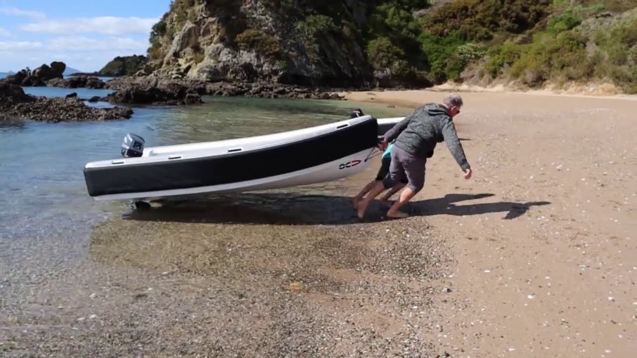 Beaching OC330 Full Carbon with 8hp