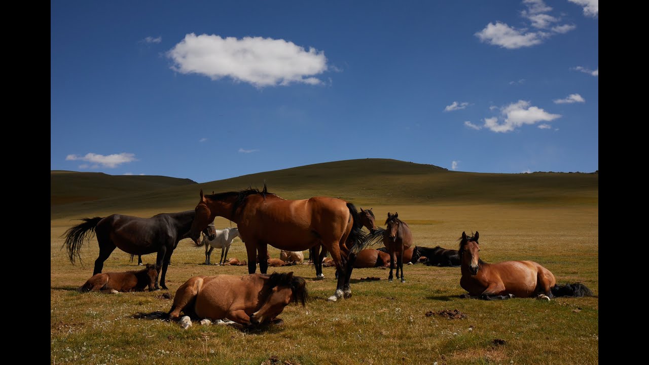 Horse Riding in Kyrgyzstan
