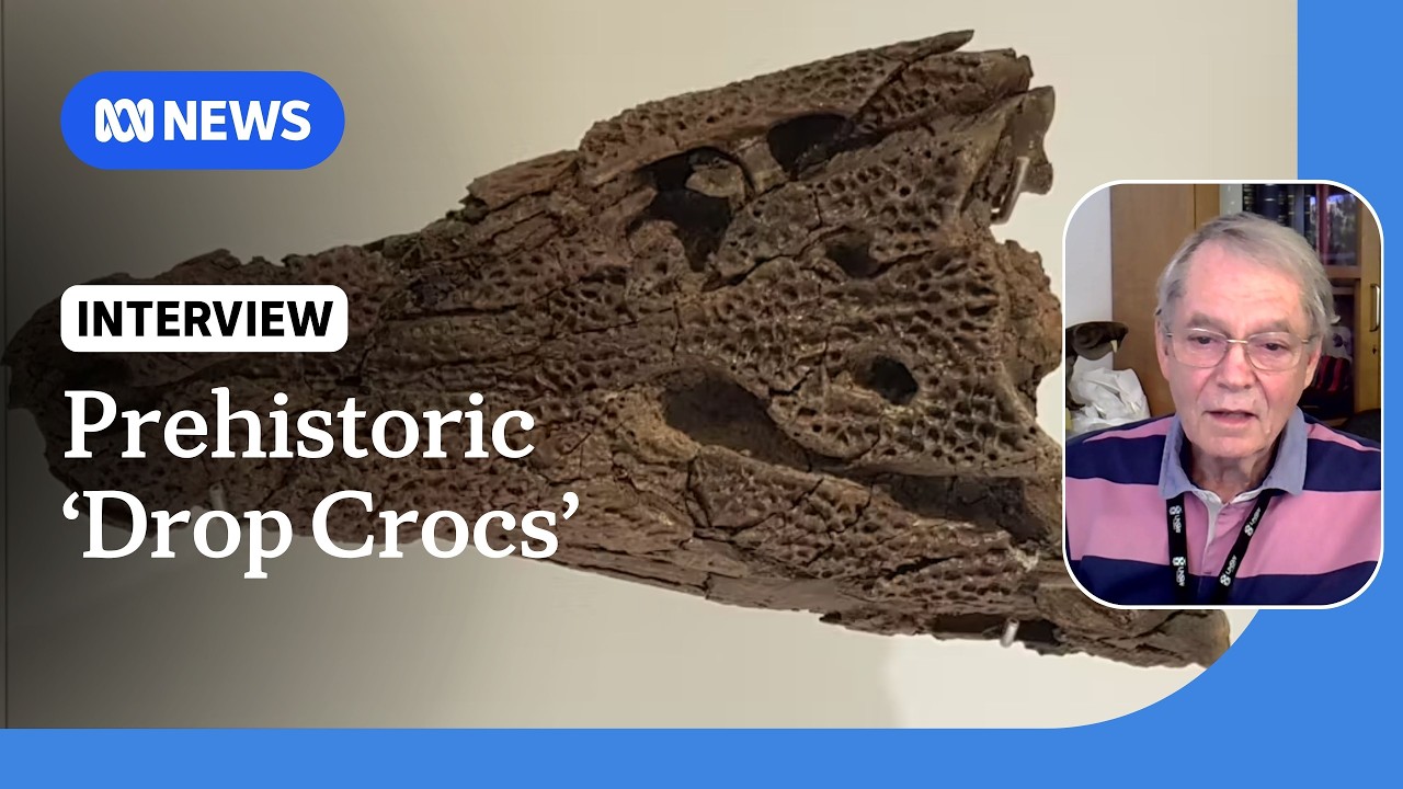 Prehistoric crocodiles dropped on their prey from trees | ABC NEWS