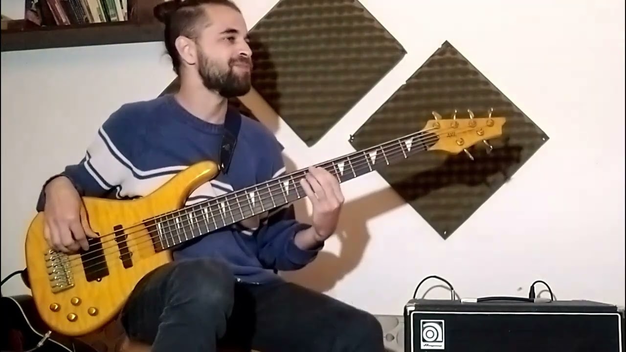 Luis Miguel - Dame Bass Cover #luismiguel #basscover