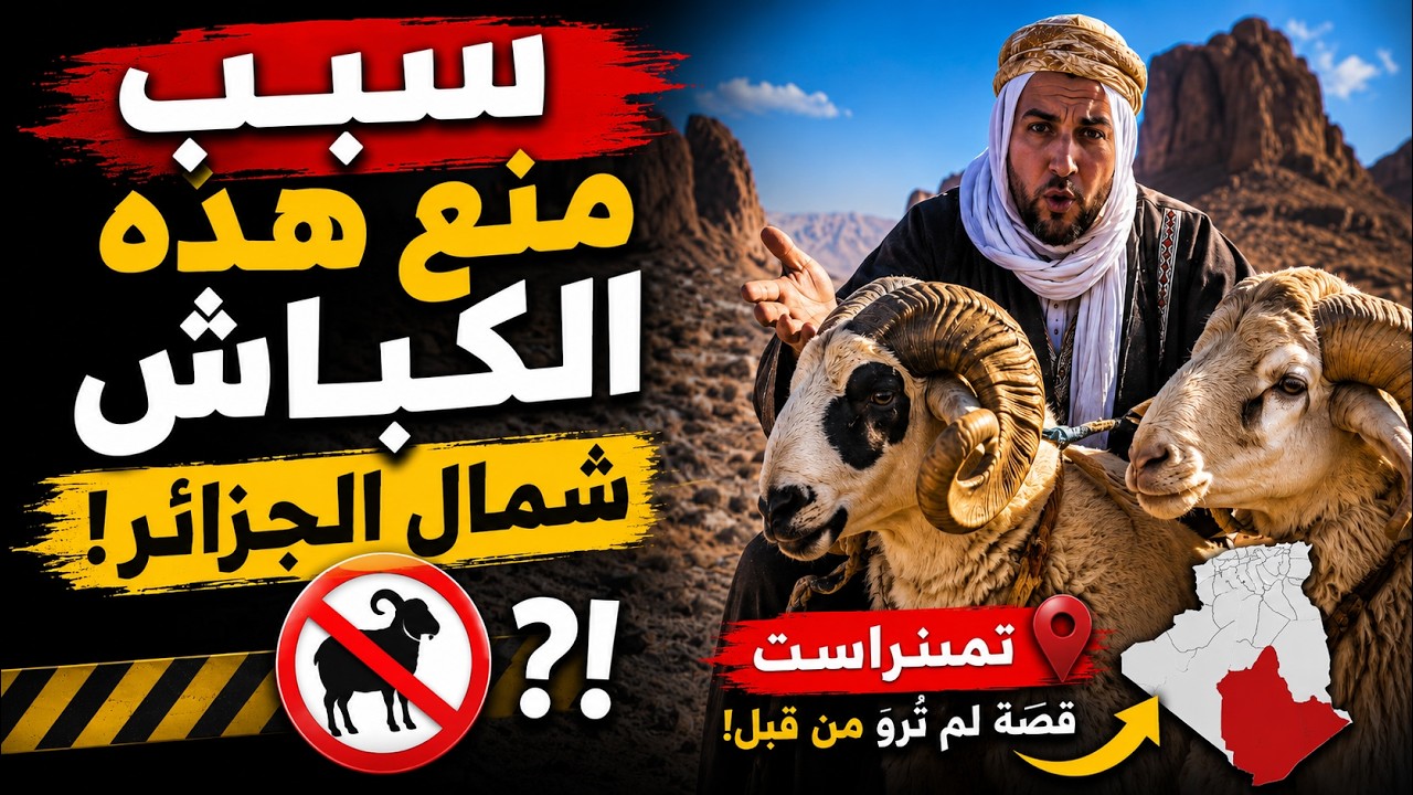 سلالة أغنام ممنوعة ⚠️ في الجزائر لهذه الأسباب !!