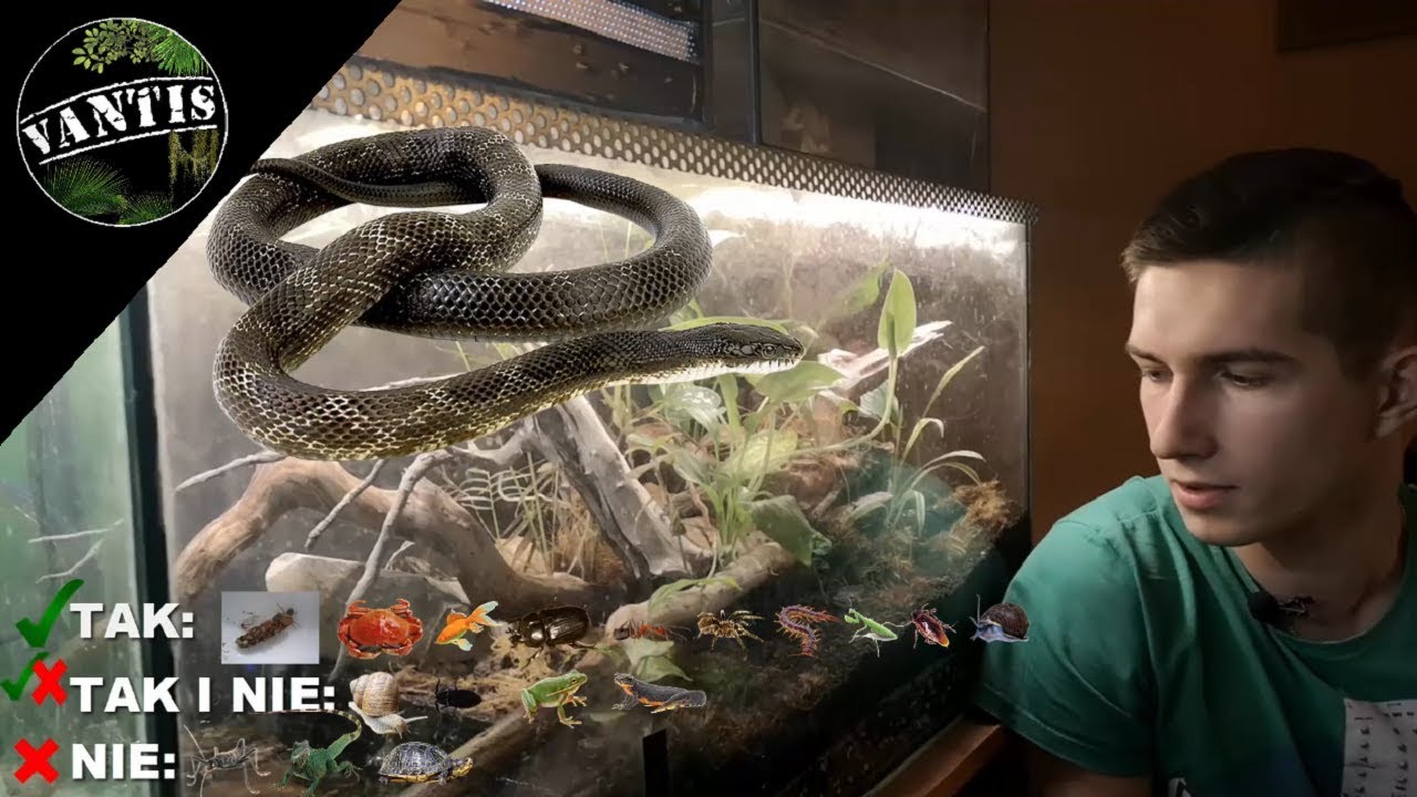 Wasze propozycje mieszkańców - PALUDARIUM wielogatunkowe