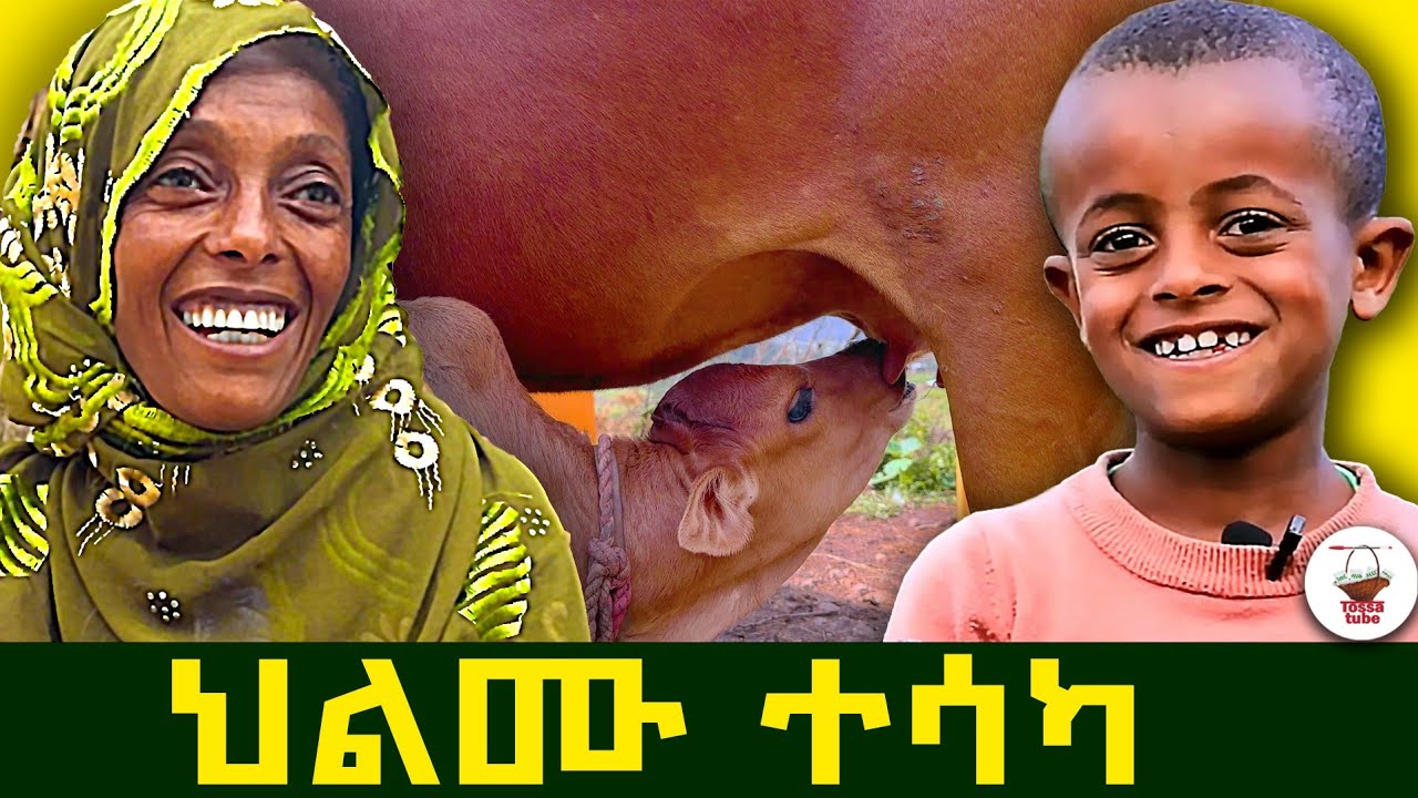 ✅ እድለኛው የገጠር ልጅ በመጨረሻ ህልሙ ተሳካ !  አምስት አመት የፈጀው አስደናቂ ታሪክ።  @Tossatube.   #የገጠርለዛ  #rurallife  #kids
