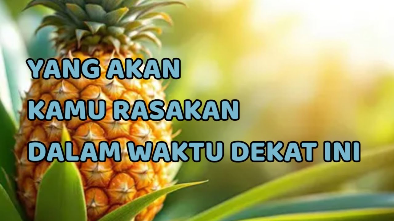 🎆 YANG AKAN KAMU RASAKAN DALAM WAKTU DEKAT INI 🎆 