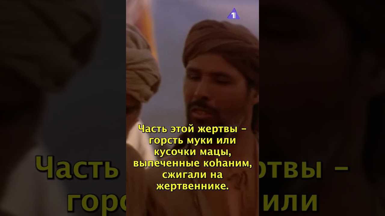 Недельная глава Торы // &laquo;Ваикра&raquo;