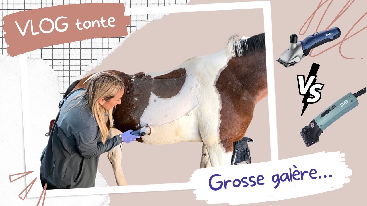 TONDEUSE LISTER VS HEINIGER : MON AVIS DANS CE VLOG TONTE !