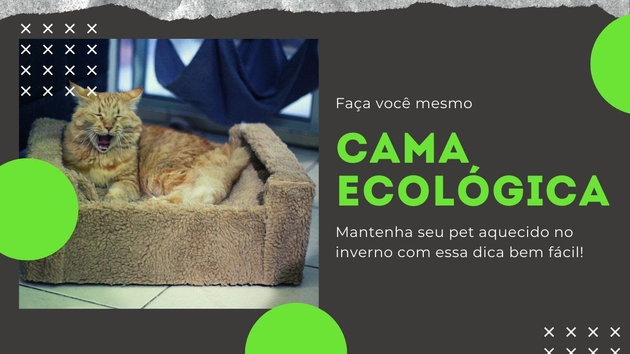 DIY: CAMA ECOLÓGICA FÁCIL