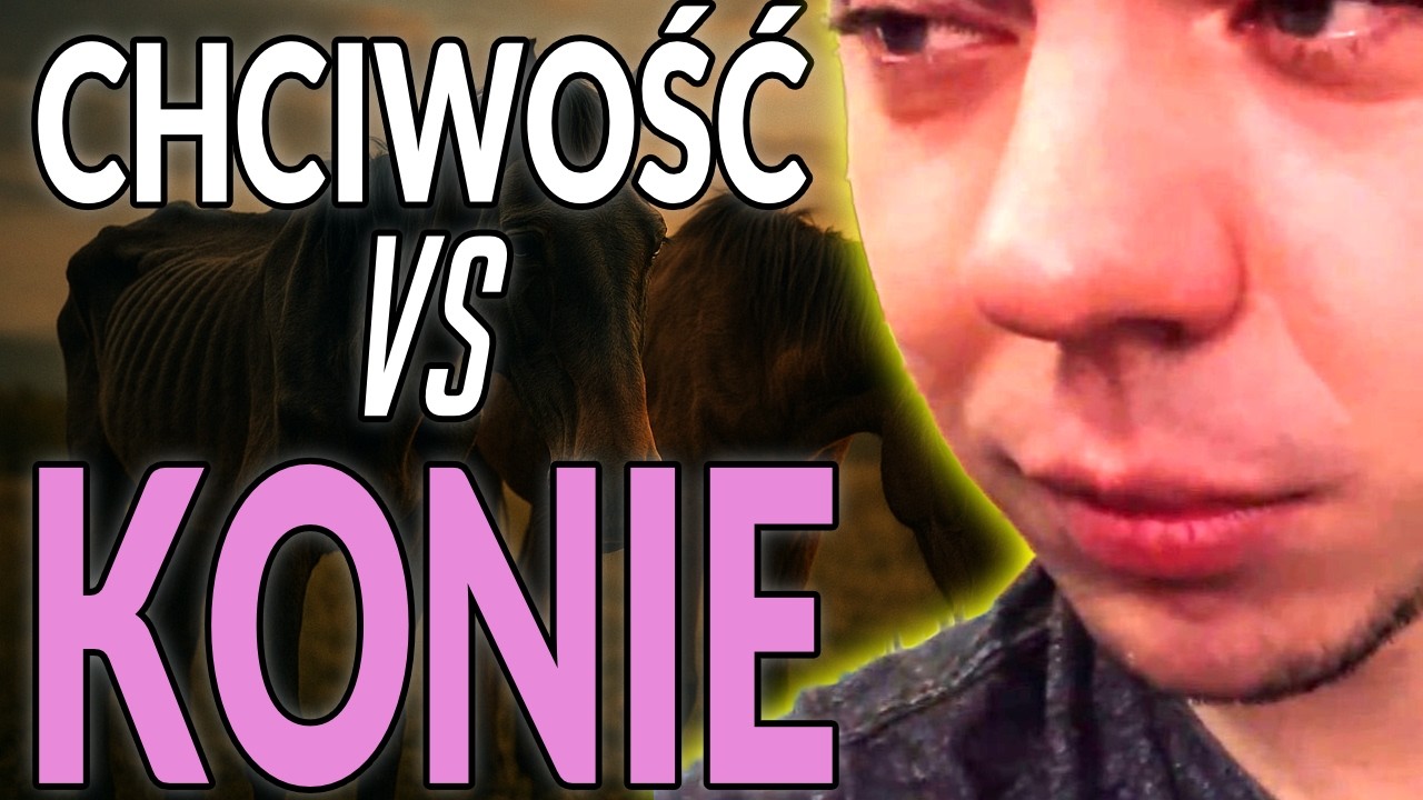 RandomBruce i afera końska - PODSUMOWANIE (Dawidsonek, xntentacion, Szklana)