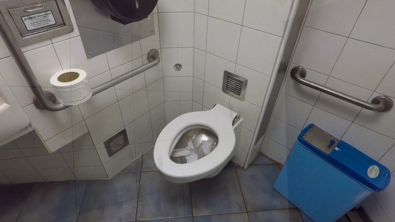 Special Edition - Public Toilet in Ngaruawahia, North Island, NZ