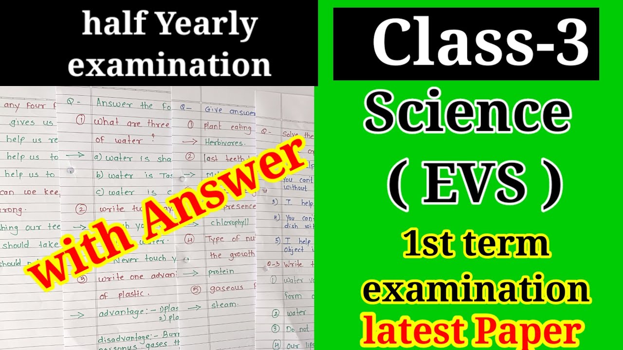 Class 3 EVS 1st term question paper | Class 3 Science 1st term paper