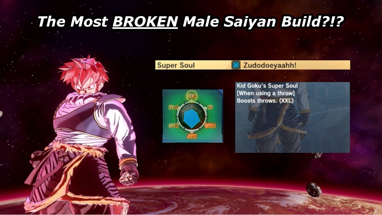 The Most BROKEN Male Saiyan Build | Dragon Ball Xenoverse 2
