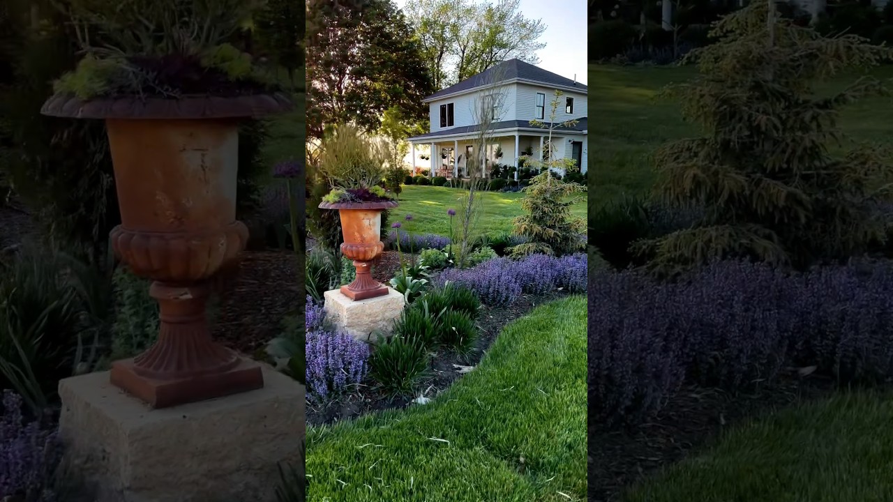 Here&rsquo;s my recipe for a drought-tolerant colorful perennial bed #shorts