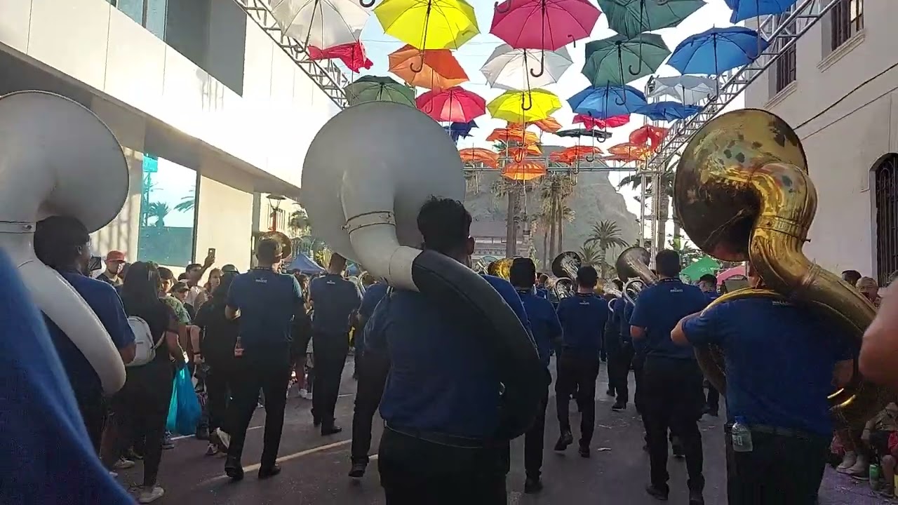 Banda Mallkus - tema 