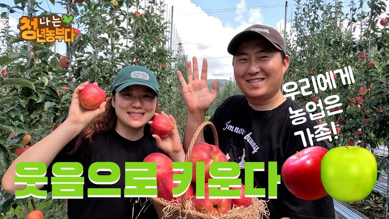 [어쩌다농부]나는청년농부다5회(포항 태산농원 '수줍은사과' 서유록, 서명수대표)