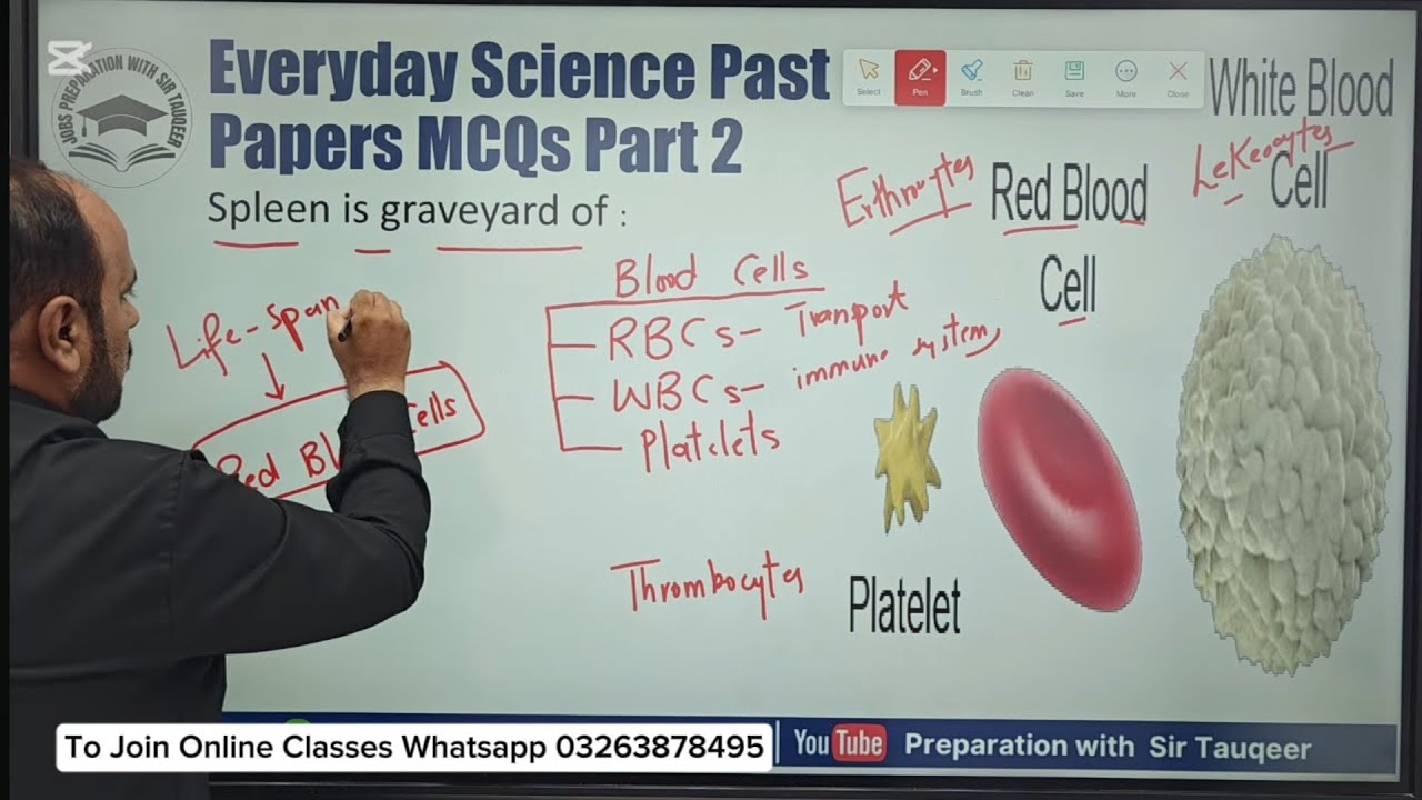 Everyday Science Past Papers Solved Part 3 | PPSC ASF FPSC CSS NTS PMS SPSC KPPSC AJKPSC GK mpt mcqs