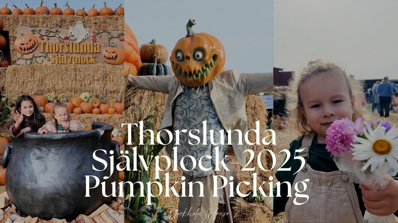 Stockholm Vlog &mdash; Pumpkin Picking at Thorslunda Sj&auml;lvplock 2025- Soup, Labyrinth, Flowers & Decor