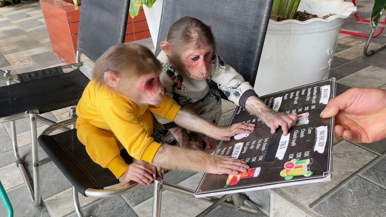 Cubis Invites Luk on a Sweet Coffee Date! ☕💕