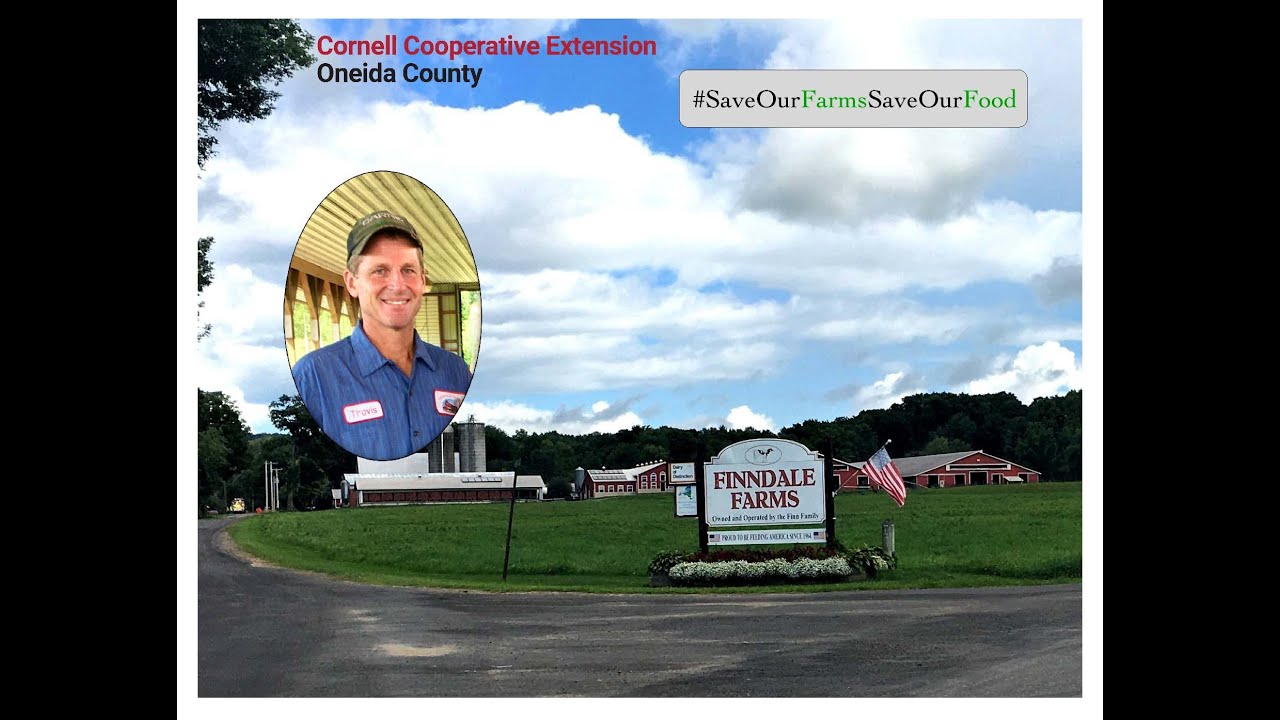 Meet Travis Finn of Finndale Farms in Holland Patent, NY