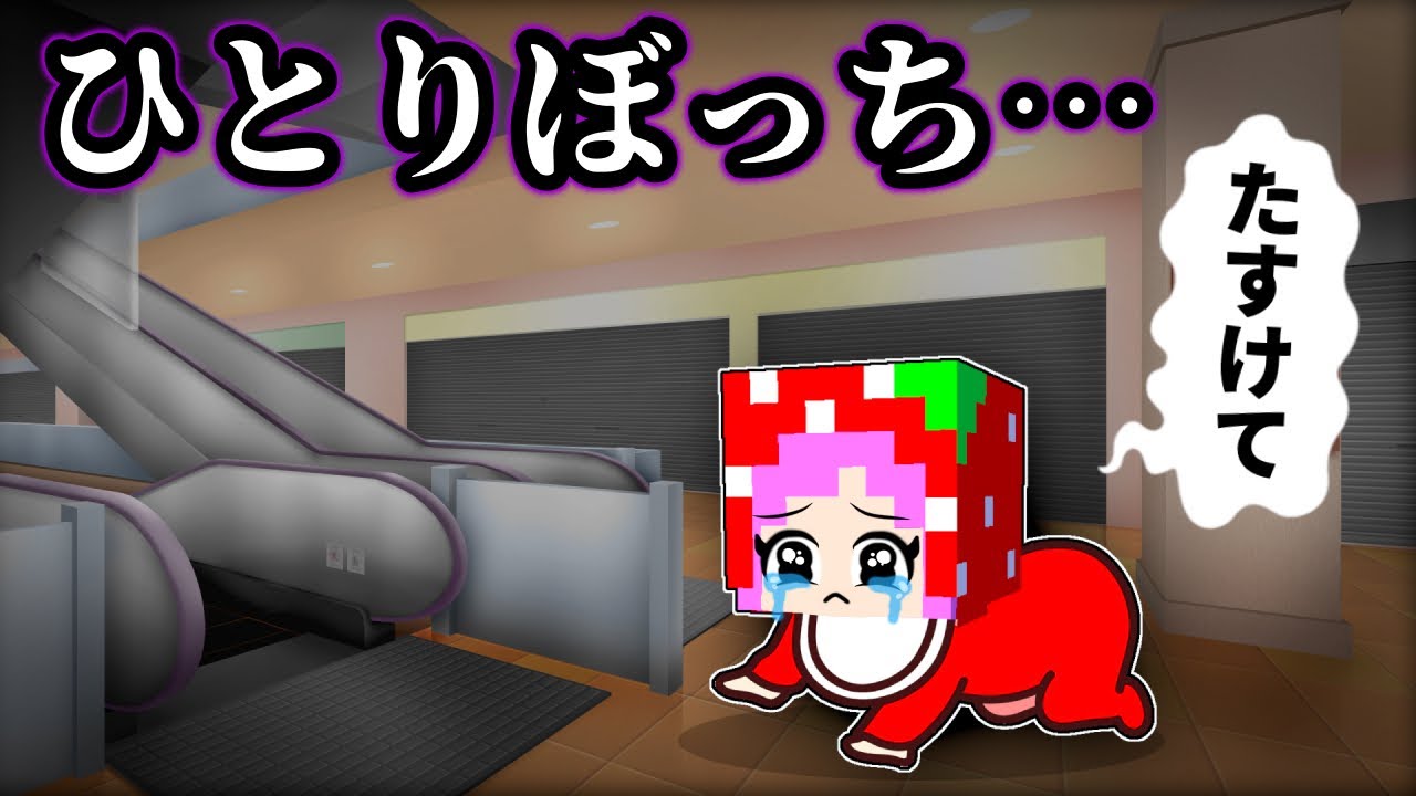 【赤ちゃんが閉じ込められた😱】夜のスーパーは怖い…？ひとりぼっちになった妹を救うマインクラフト(ここちゃん/アニメ)