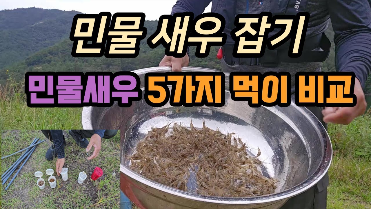 민물새우 잡기
