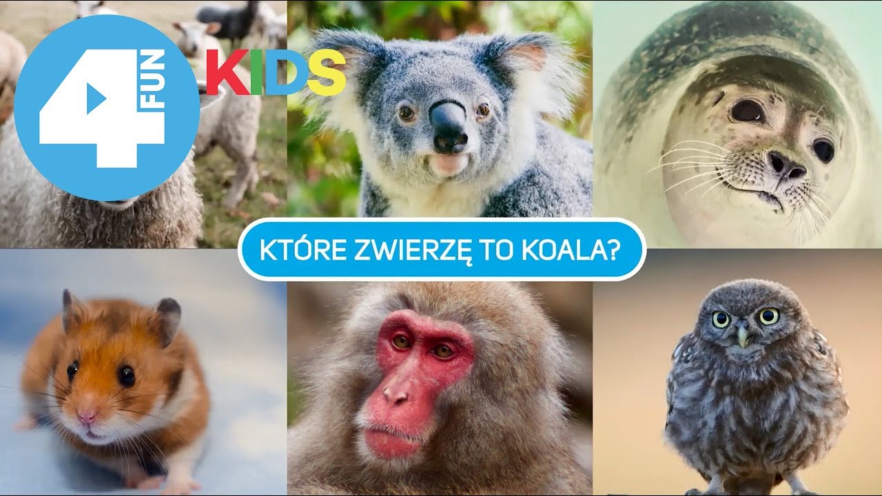 Jakie to zwierze? Nauka dla dzieci z 4FUN KIDS - część 2