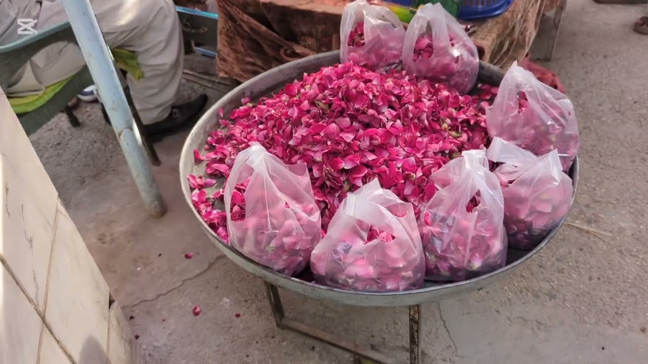 کھڑی دربار اور داؤ شاہ حقانی 