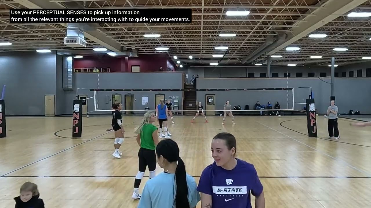 Stop Thinking, Start PERCEIVING! Train to use PERCEPTUAL SENSES to regulate actions in VOLLEYBALL.