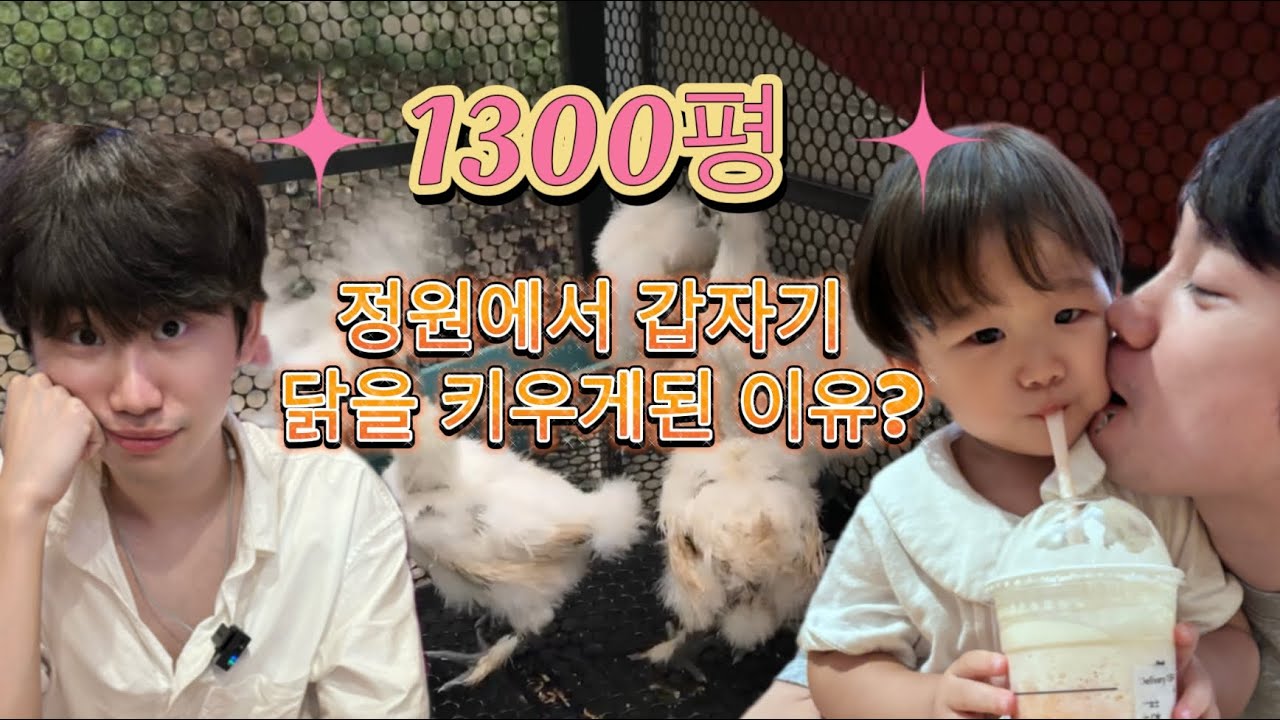 프로게이머 도인비 가 아닌 가장 김태상 의 생활