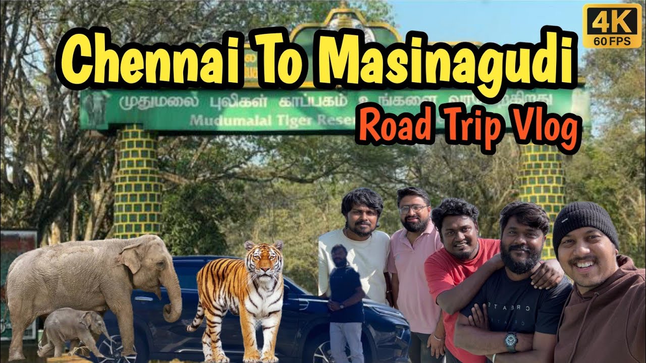 Chennai To Ooty (Masinagudi Forest) Road Trip/Needle Rock View Point/மசினகுடி காடு/Ooty Epass #tamil