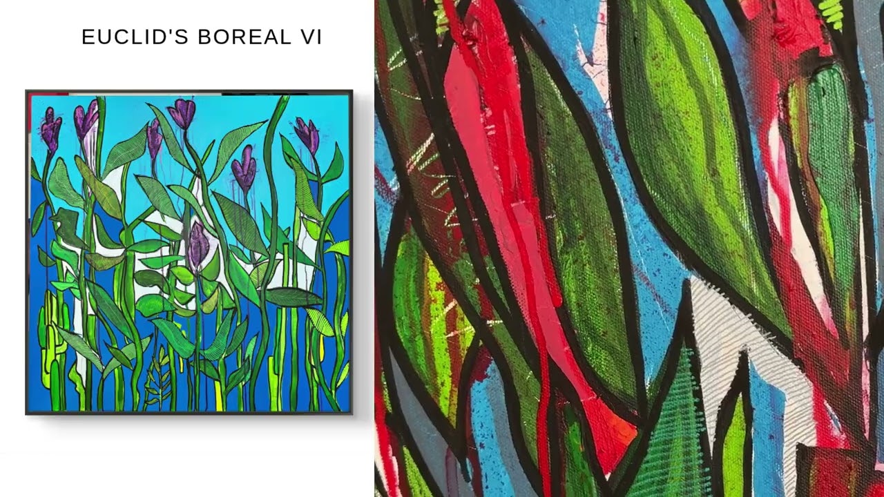 Euclid's Boreal VI
