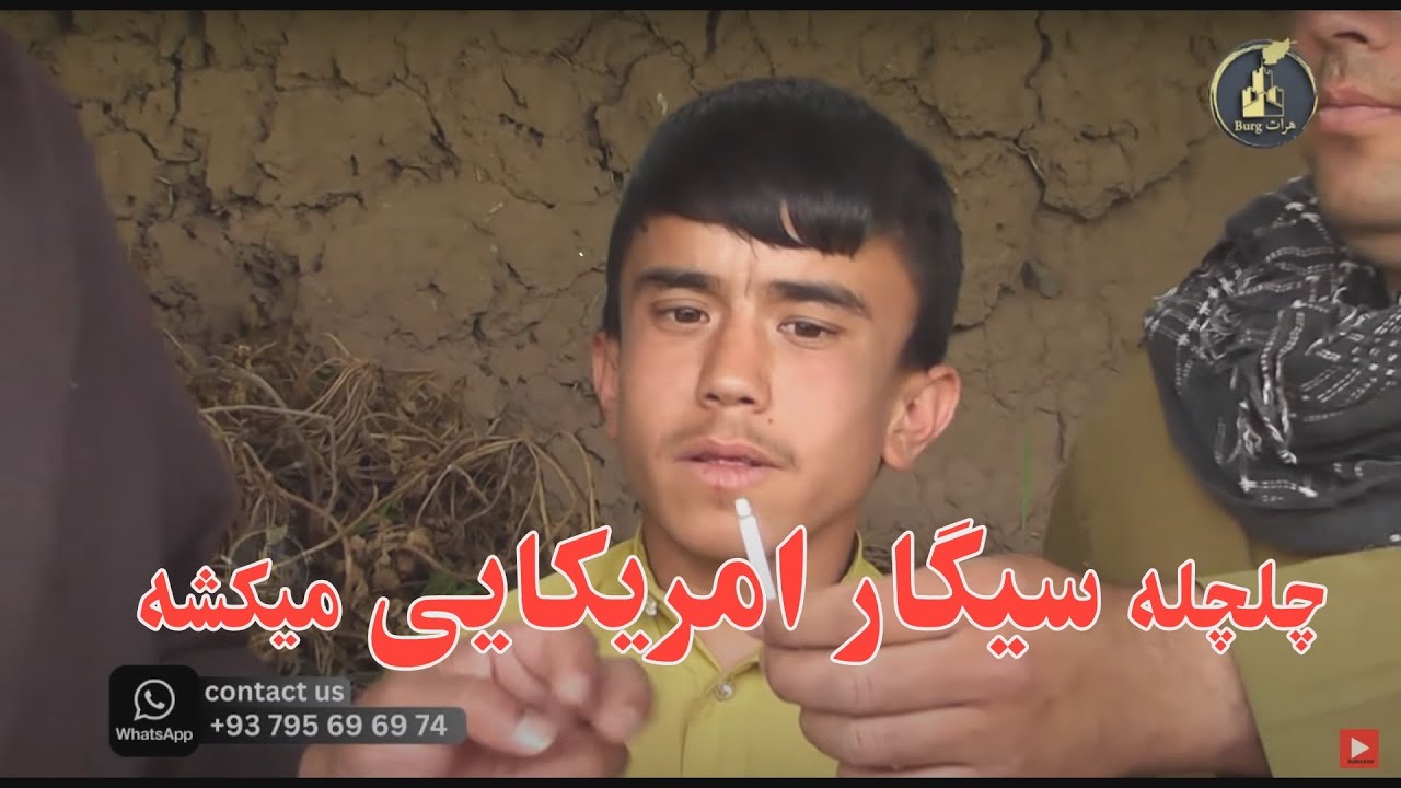 چلچله سیگار آمریکایی میکشه