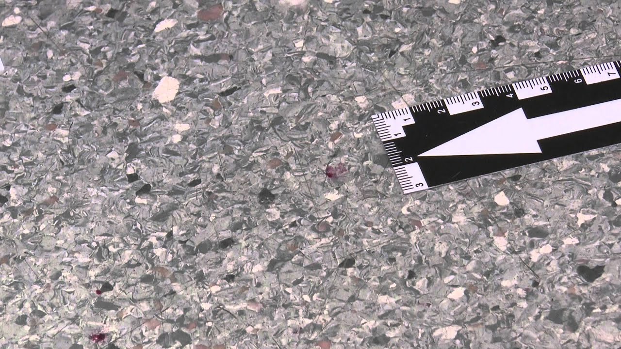 Czym są nauki sądowe? - Magazyn FW nr 2