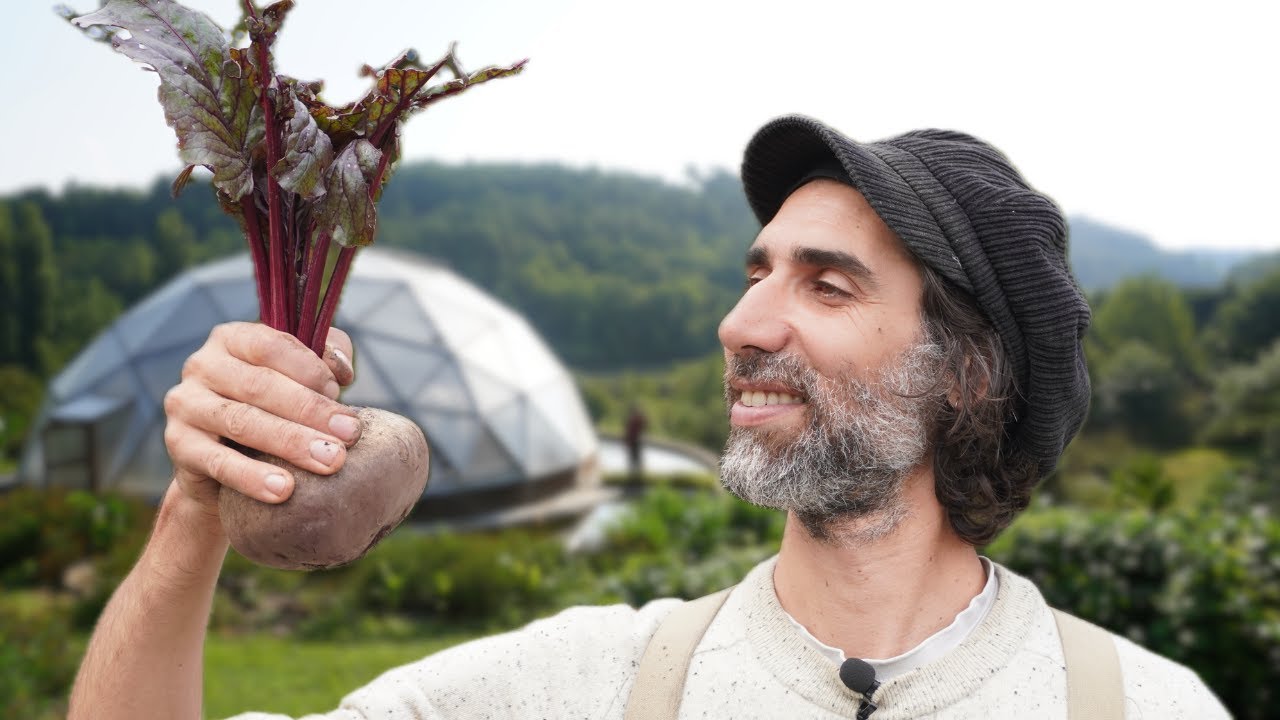 SIMPLE et EFFICACE : Pour des BETTERAVES sans IRRIGATION !