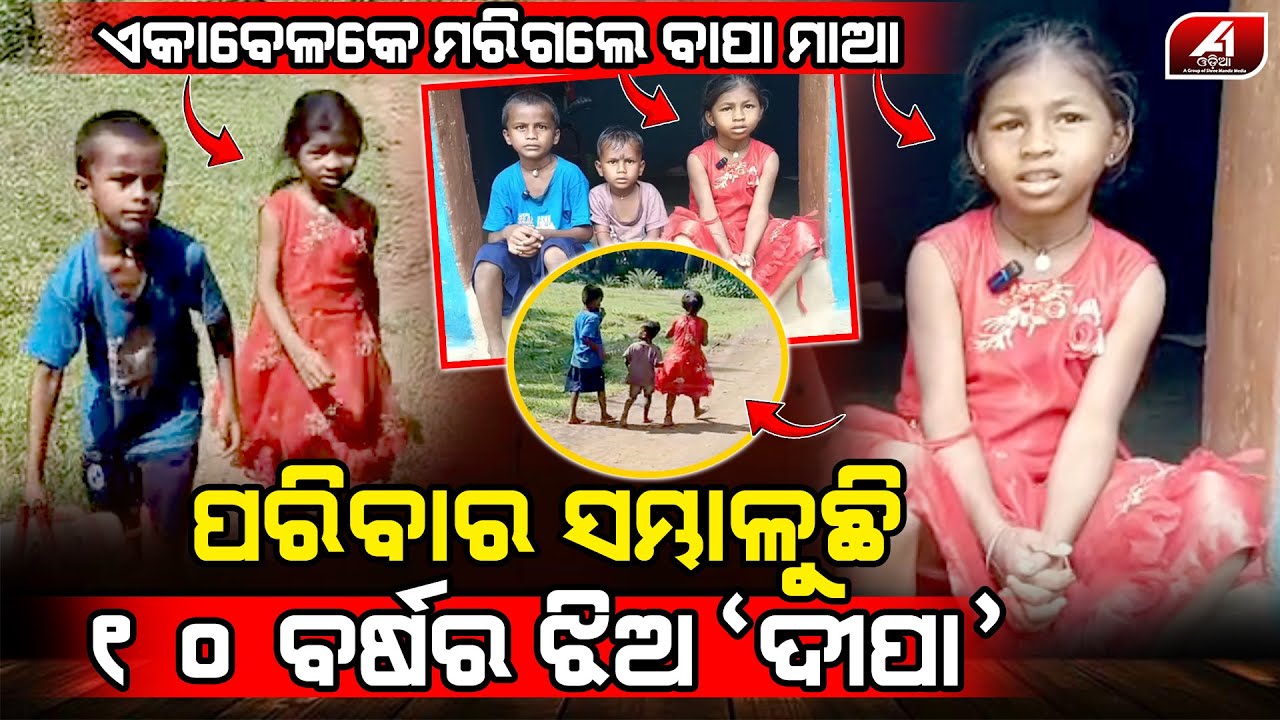 ବାପା ମାଆ ଆର ପାରିକୁ ଚାଲିଗଲା ପରେ ଦୁଇ ଭାଇଙ୍କୁ ମଣିଷ କରିବାକୁ ବଡ଼ ଭଉଣୀ ଦୀପାର ସଂଘର୍ଷ l MALKANAGIRI NEWS l