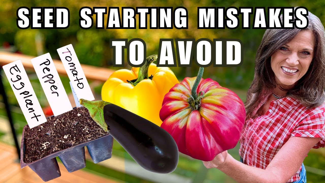 11 Mistakes NOT to Make: Starting Seeds Indoors/Tomatoes, Peppers & Eggplant