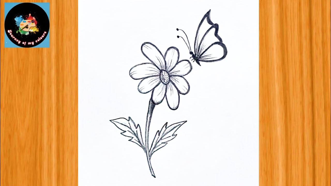 Easy flowers drawing || How to draw Flower with Butterfly|| Pencil drawing .
