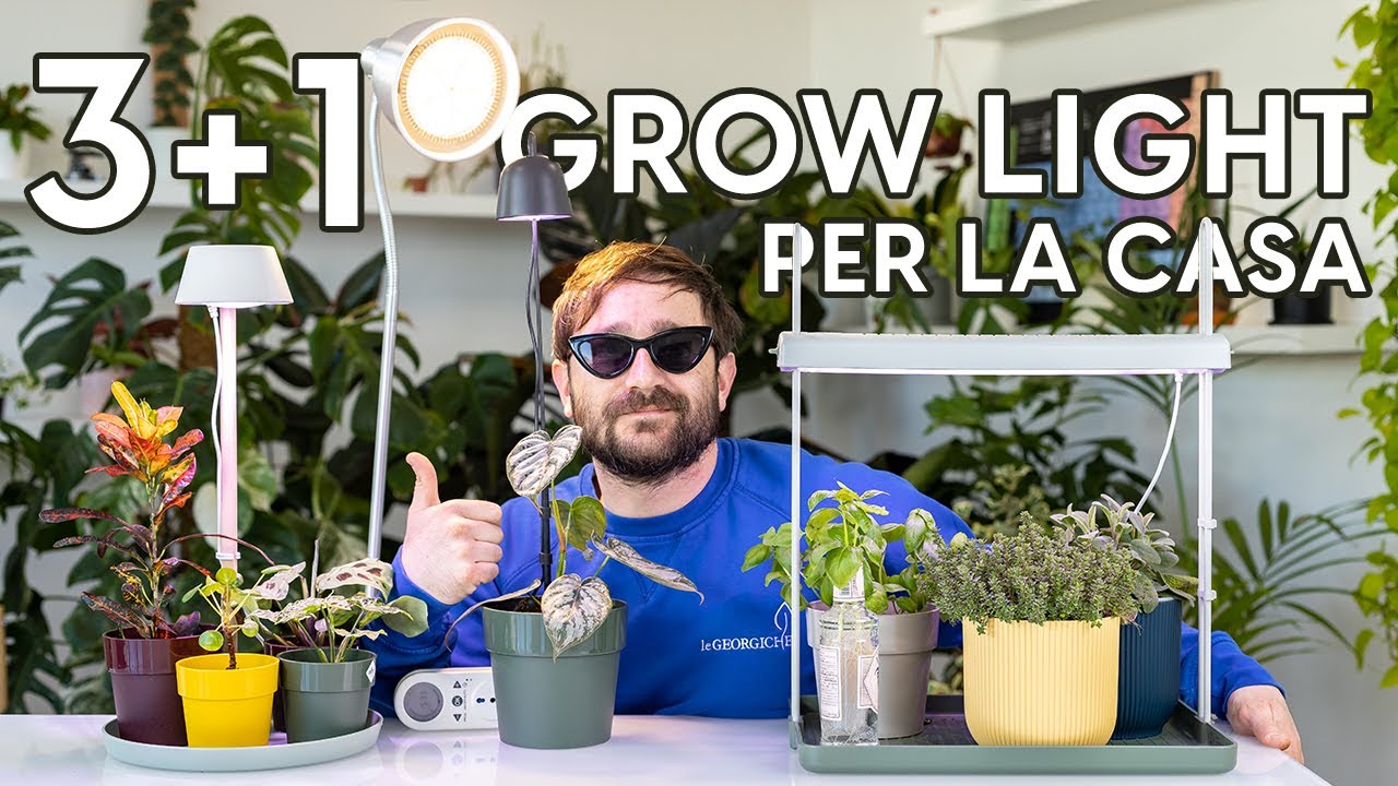 Facciamo luce sulle Grow Light: eccone 3+1 davvero imperdibili!