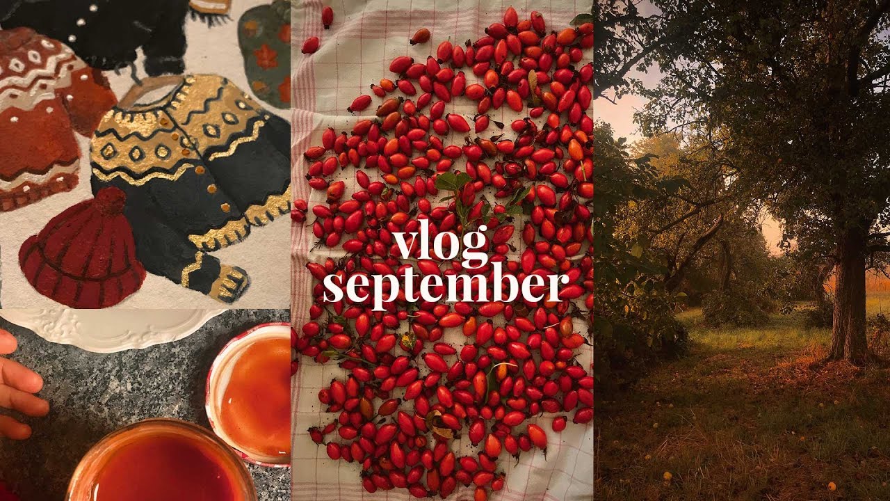 Studio Vlog 40 | Gloomy days & crispy air, drawing, cooking Rosehip Marmelade *Silent Autumn Vlog*