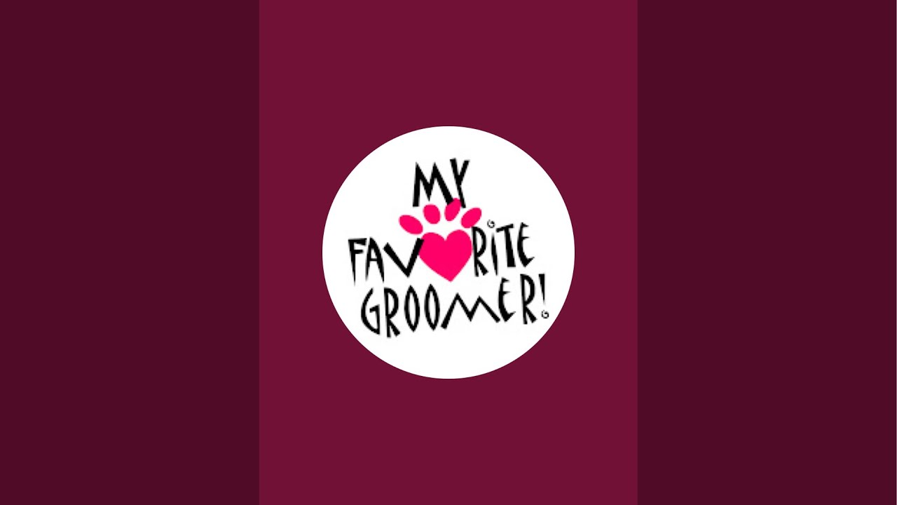 My Favorite Groomer is live! What my dog is doing while I organize the house before bed