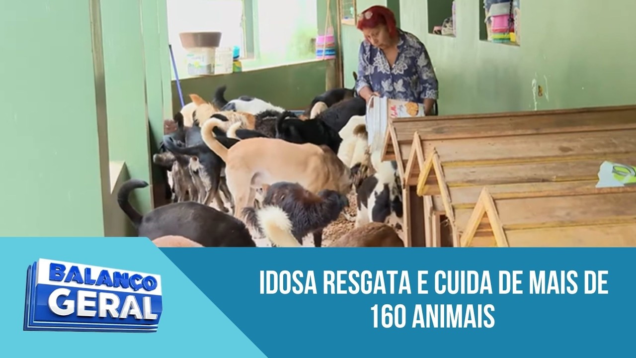 Idosa resgata e cuida de 160 animais abandonados em São Paulo | 'Balanço Geral'