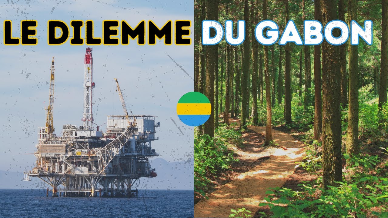 🇬🇦 Le bois durable: Un Pari Risqué pour l'Après-Pétrole au Gabon ?