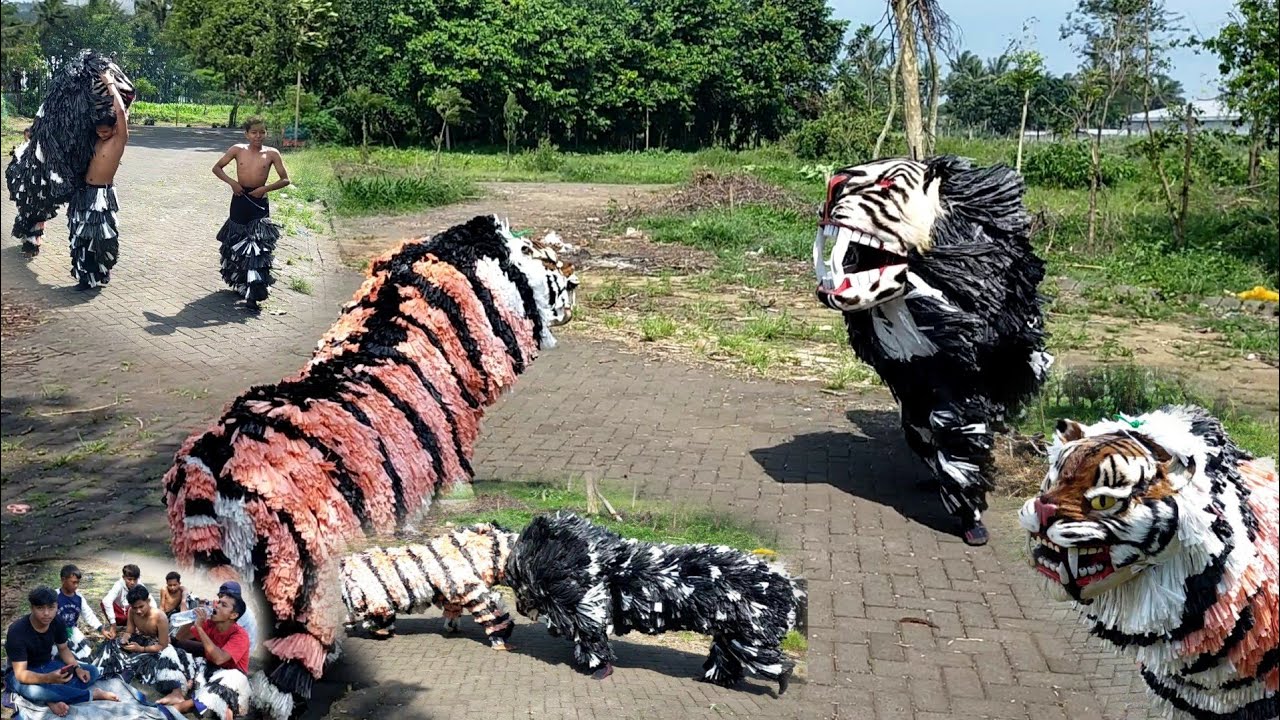 MACANAN CAN MACANAN PERTARUNGAN SINGO E ADU BANTENG