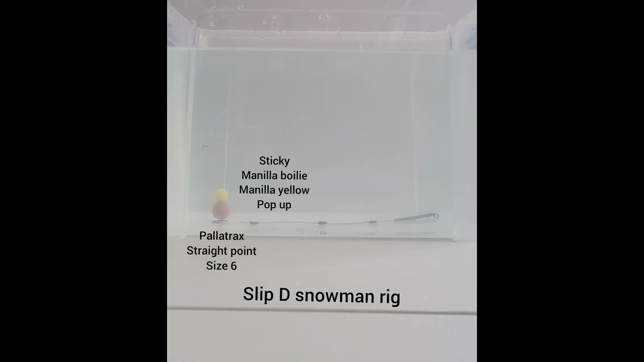 Sticky baits slip D snowman rig manilla 16mm boilie topped with manilla 12mm yellow pop up tank test