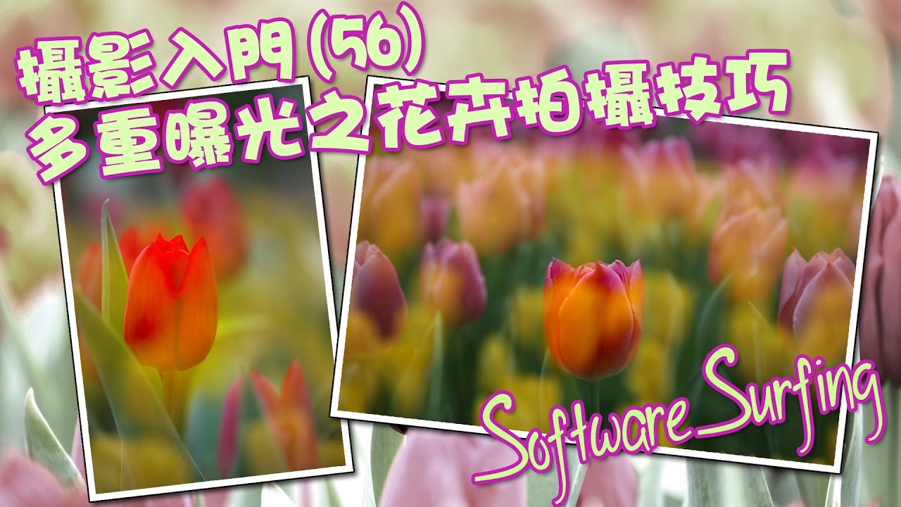 攝影入門(56)多重曝光(Multiple Exposure)之花卉拍攝技巧(Software Surfing 179)