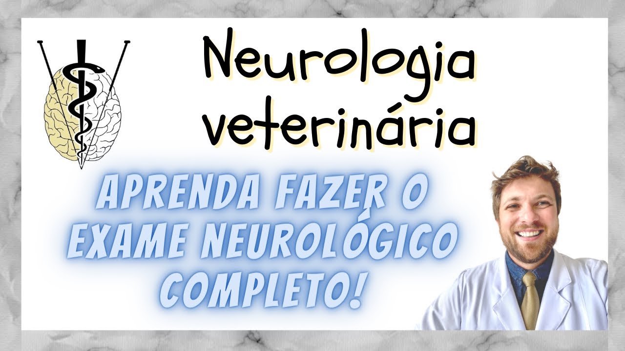 Como fazer um exame NEUROLÓGICO VETERINÁRIO COMPLETO!
