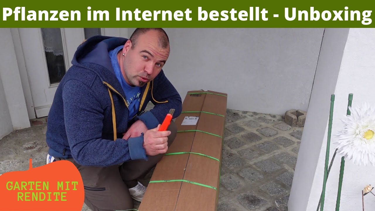 Pflanzen im Internet bestellt | Unboxing Pflanzen | Mein Fazit das geht besser
