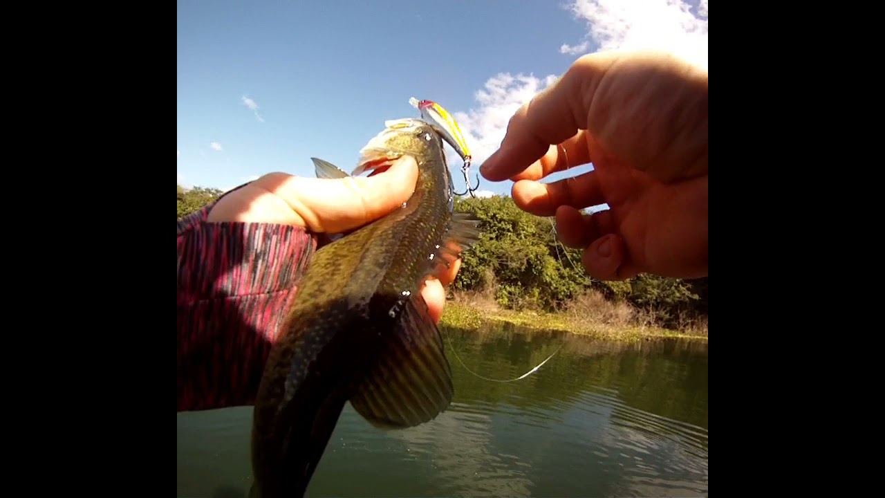 Bass Fishing Inanda Dam. KZN divisionals (17/18-04-2021)