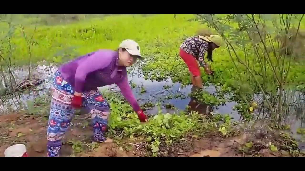 INCR&Iacute;VEL Rede de Pesca   Pesca tecnologia primitiva  10  Camboja de pesca tradicional
